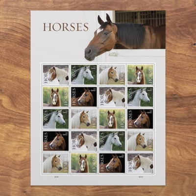 Horses 2024 USPS First-Class Mail Forever Postage Stamps - Sheet of 20