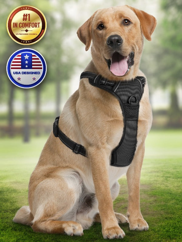 Dog Harness Soft-Padded w/ Reflective Strips for Running, Hiking & Training