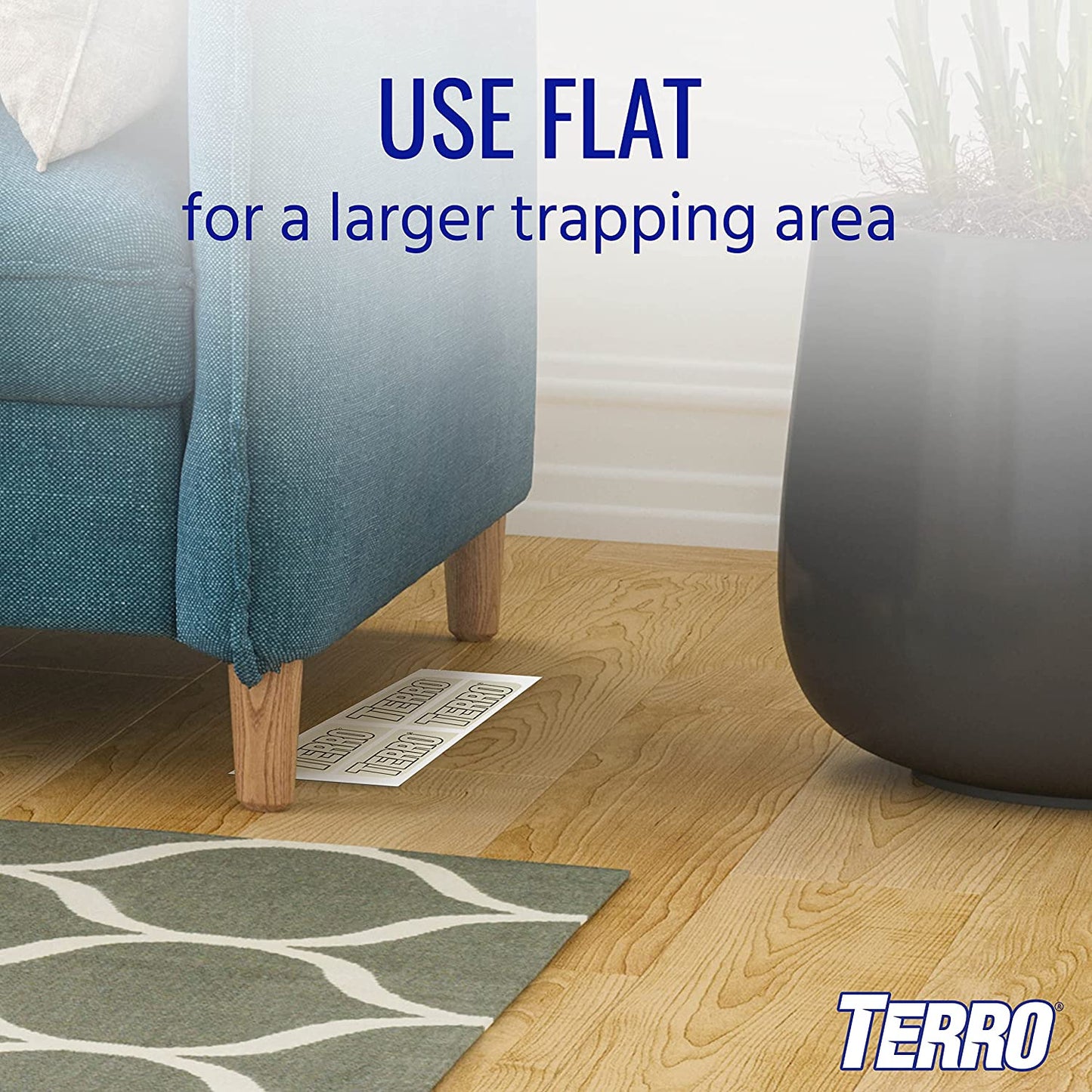 Terro T3206 Spider & Insect Trap, 4 Count (Pack of 1)