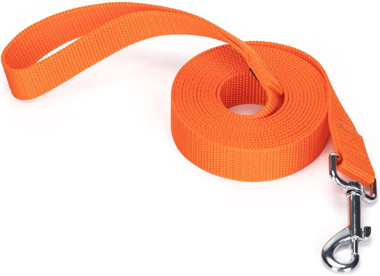 Siumouhoi Strong Durable Nylon Dog Training Leash, Traction Rope, 10 Feet Long, 1 Inch Wide, for Small and Medium Dog (10Feet, Purple)