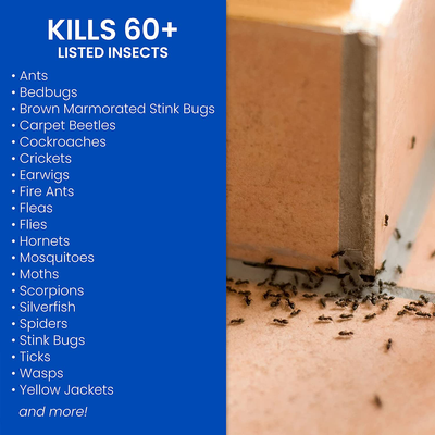 BioAdvanced 700460A Home Pest Plus Germ Killer, Pest Control, Bug Spray for Home, for Indoor and Outdoor, 24-Ounce, Ready-to-Use