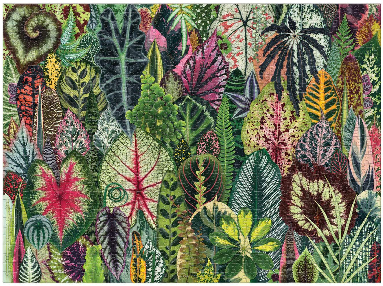 Galison Houseplant Jungle 1000 Piece Jigsaw Puzzle for Adults – Plant Jigsaw Puzzle with Mix of Succulents & Other Household Plants – Fun Indoor Activity, Multicolor