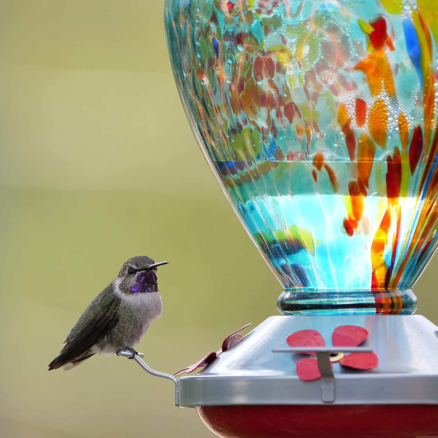 Muse Garden Hummingbird Feeder for Outdoors, Hand Blown Glass, 34 Ounces, Containing Ant Moat, Comet