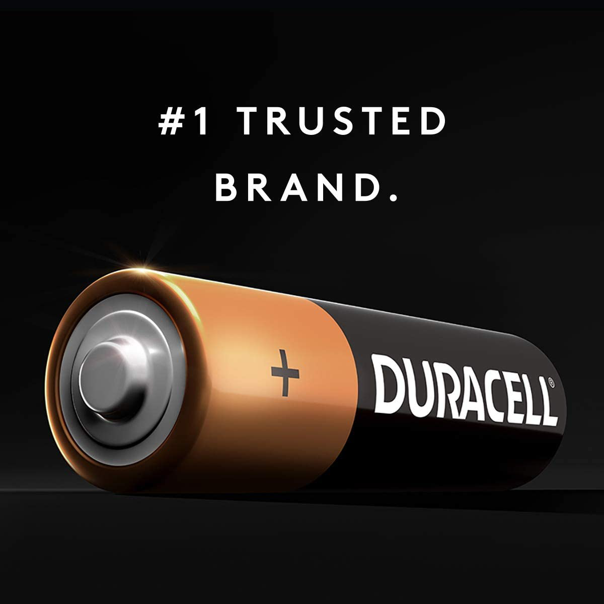 Duracell - CopperTop AA Alkaline Batteries - long lasting, all-purpose Double A battery for household and business