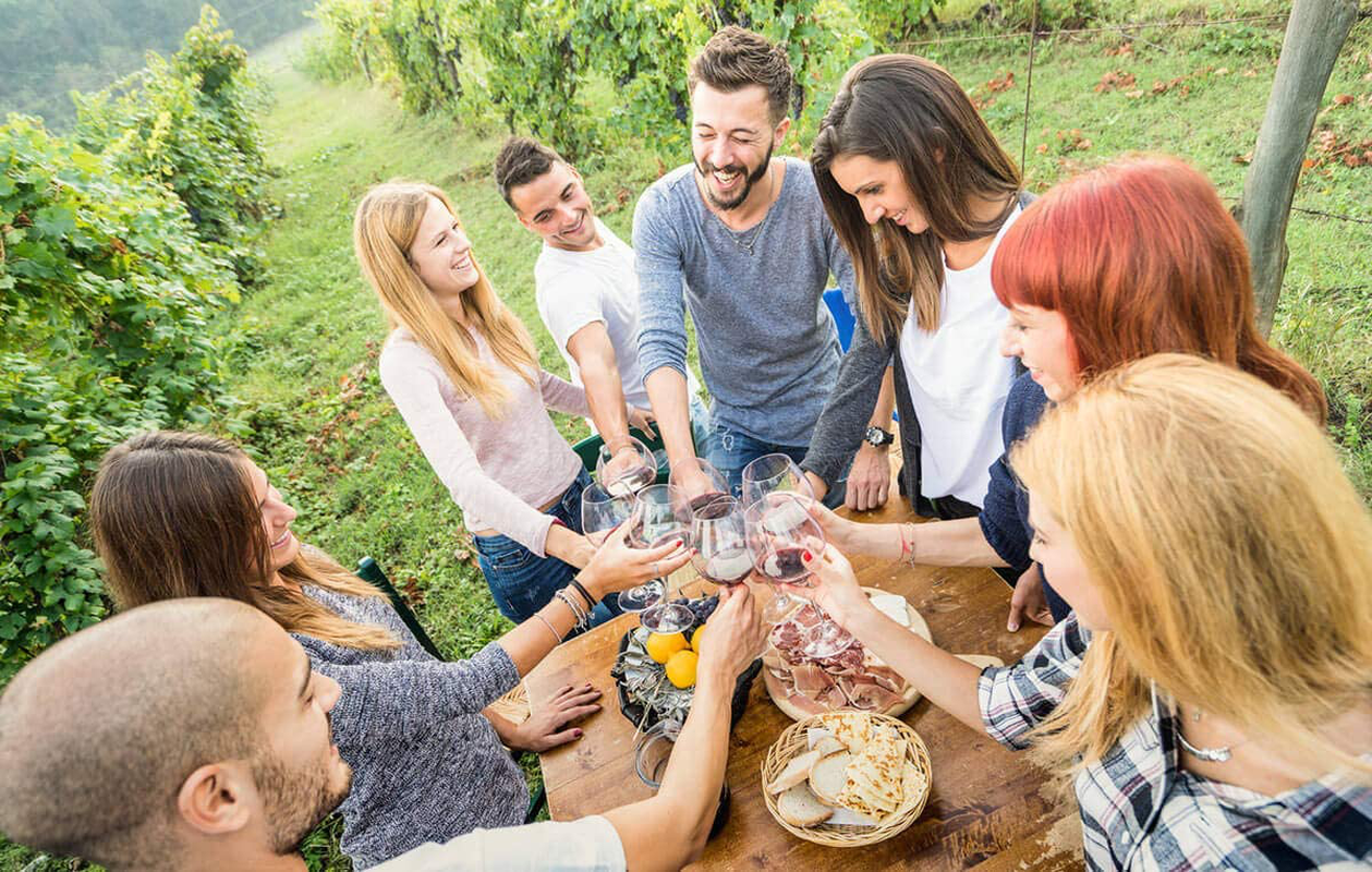 Drop It Wine Drops, 1 Pack - Only Product to Naturally Remove Both Wine Sulfites and Wine Tannins - Can Eliminate Wine Headaches, Wine Allergies and Histamines in 20 Seconds - a Wine Wand Alternative