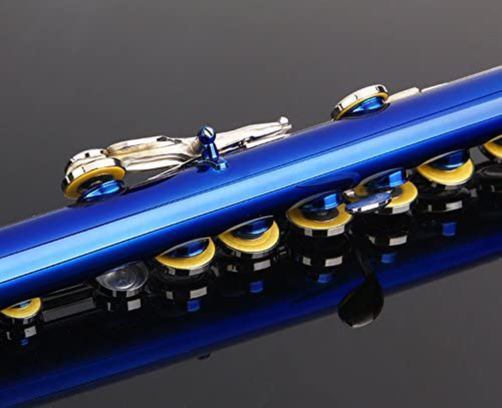 Glory Closed Hole C Flute With Case, Tuning Rod and Cloth,Joint Grease and Gloves Blue-More Colors available,Click to see more colors