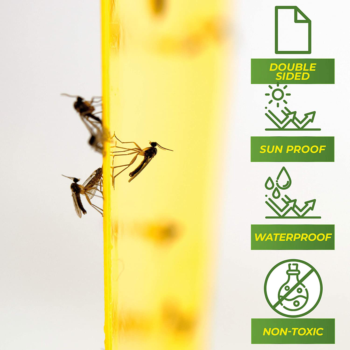 Fruit Fly Trap (20 Pack), Double-Sided Yellow Sticky Traps (Indoor & Outdoor), Fruit Fly Traps for Kitchen & Plants, Fruit Fly Killer - Sticky Gnat Trap Indoor Solution, Fungus Gnat Traps