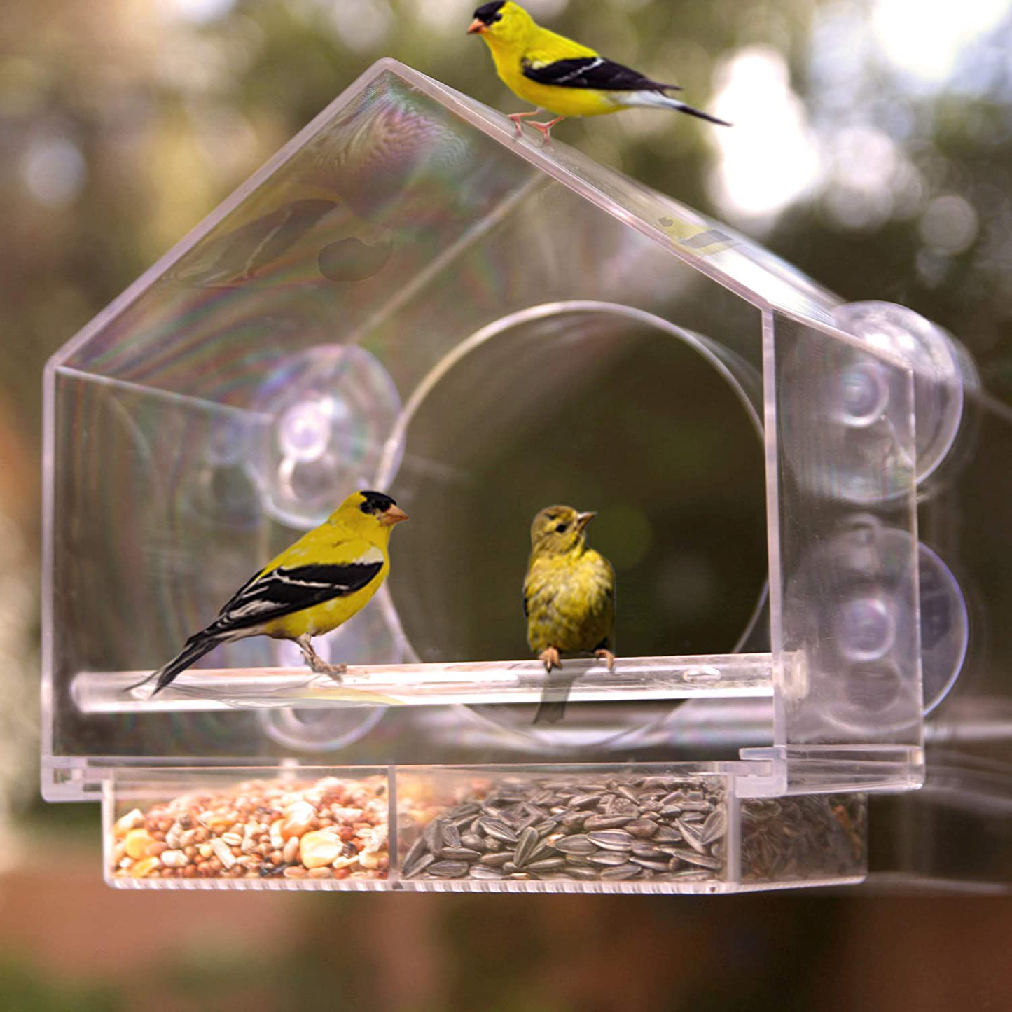 Window Bird House Feeder by Nature Anywhere with Sliding Seed Holder and 4 Extra Strong Suction Cups. Large Outdoor Birdfeeders for Wild Birds. Birdhouse Shape.