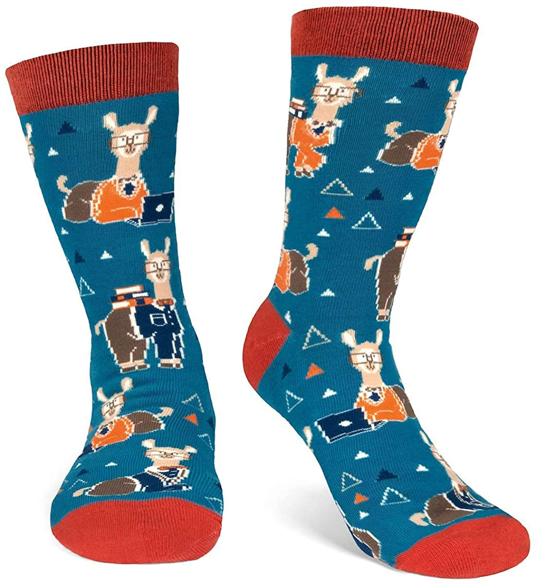 Funny Nerd Socks - Gift for Teachers, Students, Book Lovers, Math, Science Geeks