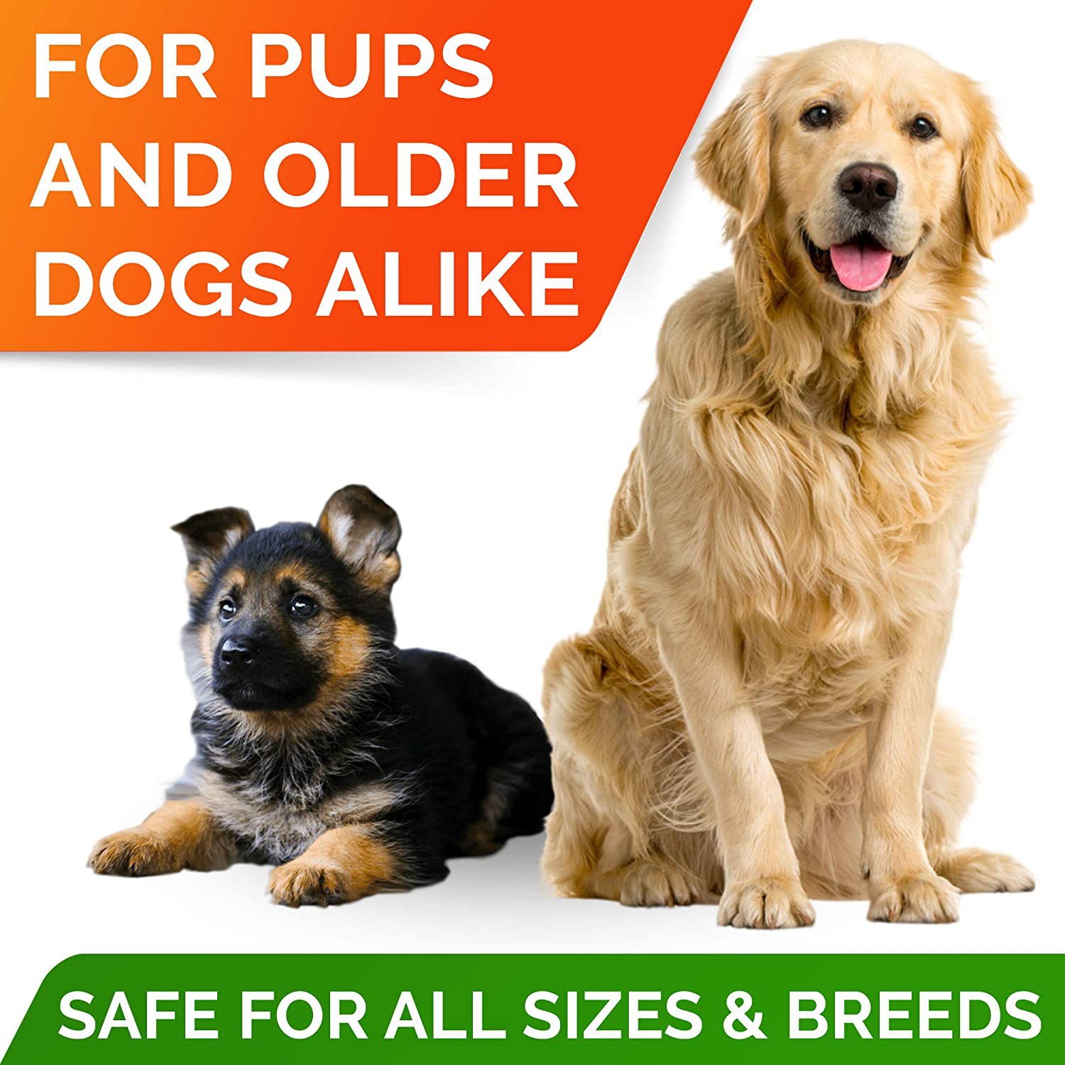 Omega 3 Treats for Dogs - Allergy Relief, Joint Health, Itch Relief, Shedding, Skin, Coat Supplement - Alaskan Salmon Oil Chews