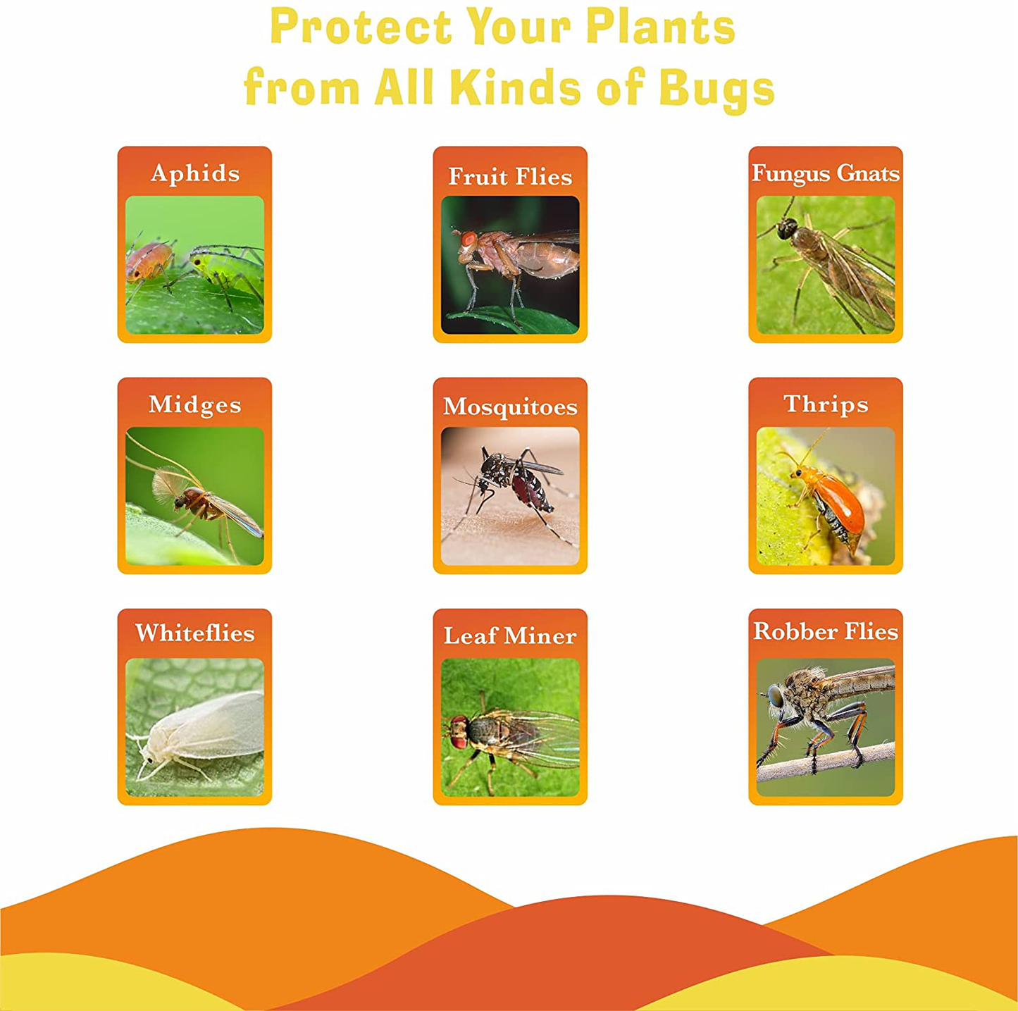 48 Pack Plants Fruit Fly Trap, Yellow Sticky Gnat Traps, Fungus Killer for Indoor and Outdoor