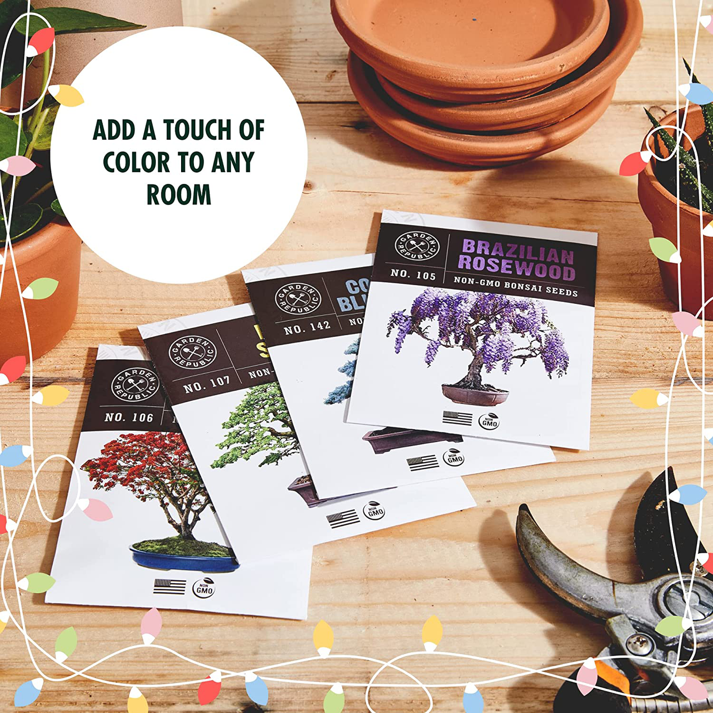 Bonsai Tree Seed Starter Kit - Mini Bonsai Plant Growing Kit, 4 Types of Seeds, Potting Soil, Pots, Pruning Shears Scissor Tool, Plant Markers, Wood Gift Box, Indoor Garden Gardening Gifts Ideas