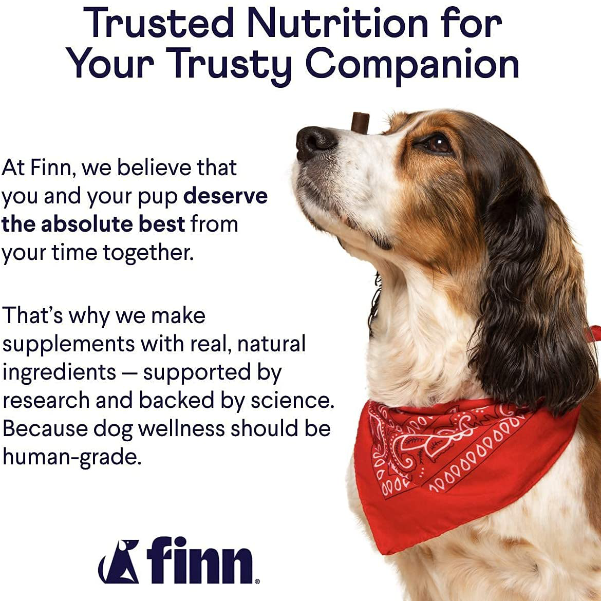 Finn All-in-1 Dog Multivitamin Omega-3s, Glucosamine + Chondroitin | Gut & Immune Health, Joint Support, Heart Health 90 Soft Chew Treats
