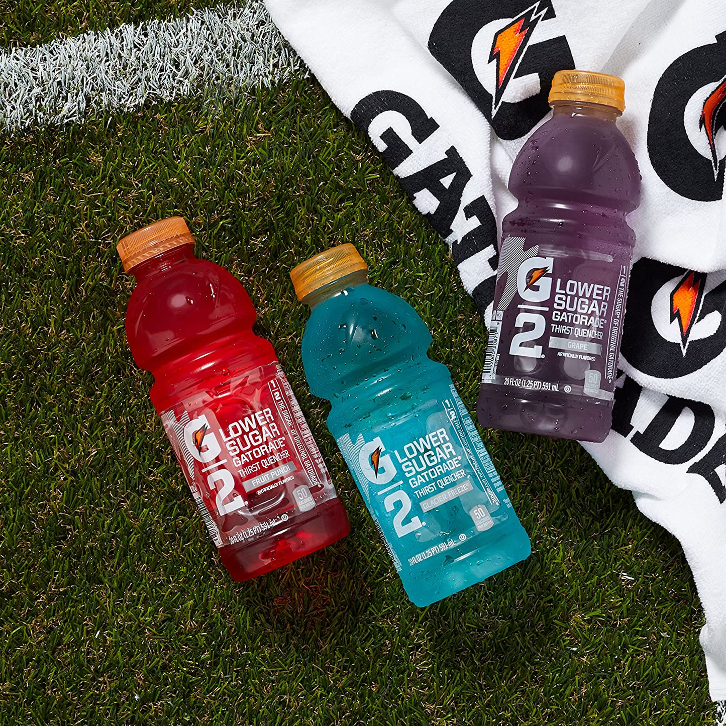 Gatorade G2 Thirst Quencher Variety Pack, 20 Ounce Bottles (Pack of 12)