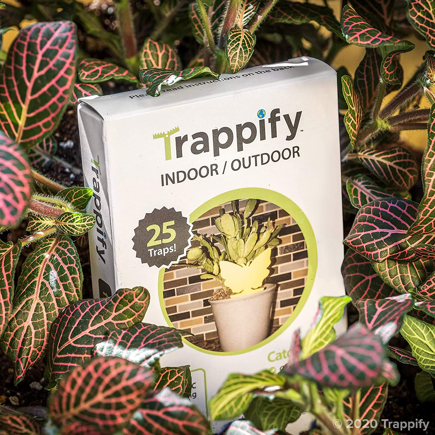 Trappify Sticky Fruit Fly and Gnat Trap Yellow Sticky Bug Traps for Indoor/Outdoor Use - Insect Catcher for White Flies, Mosquitos, Fungus Gnats, Flying Insects - Disposable Glue Trappers (12)