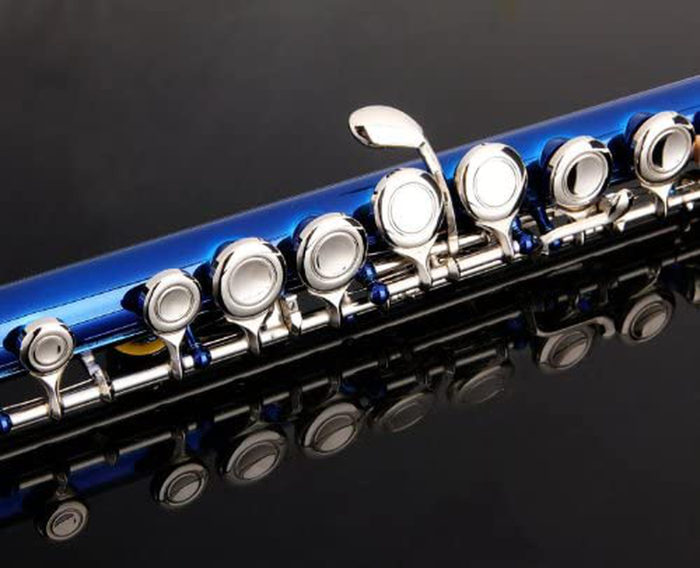 Glory Closed Hole C Flute With Case, Tuning Rod and Cloth,Joint Grease and Gloves Blue-More Colors available,Click to see more colors