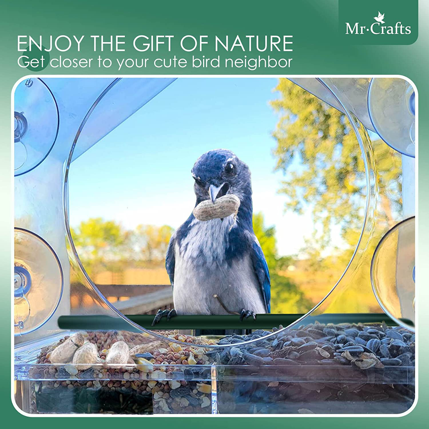 Mrcrafts Window Bird Feeder for outside with Strong Suction Cups, Fits for Cardinals, Finches, Chickadees Etc.