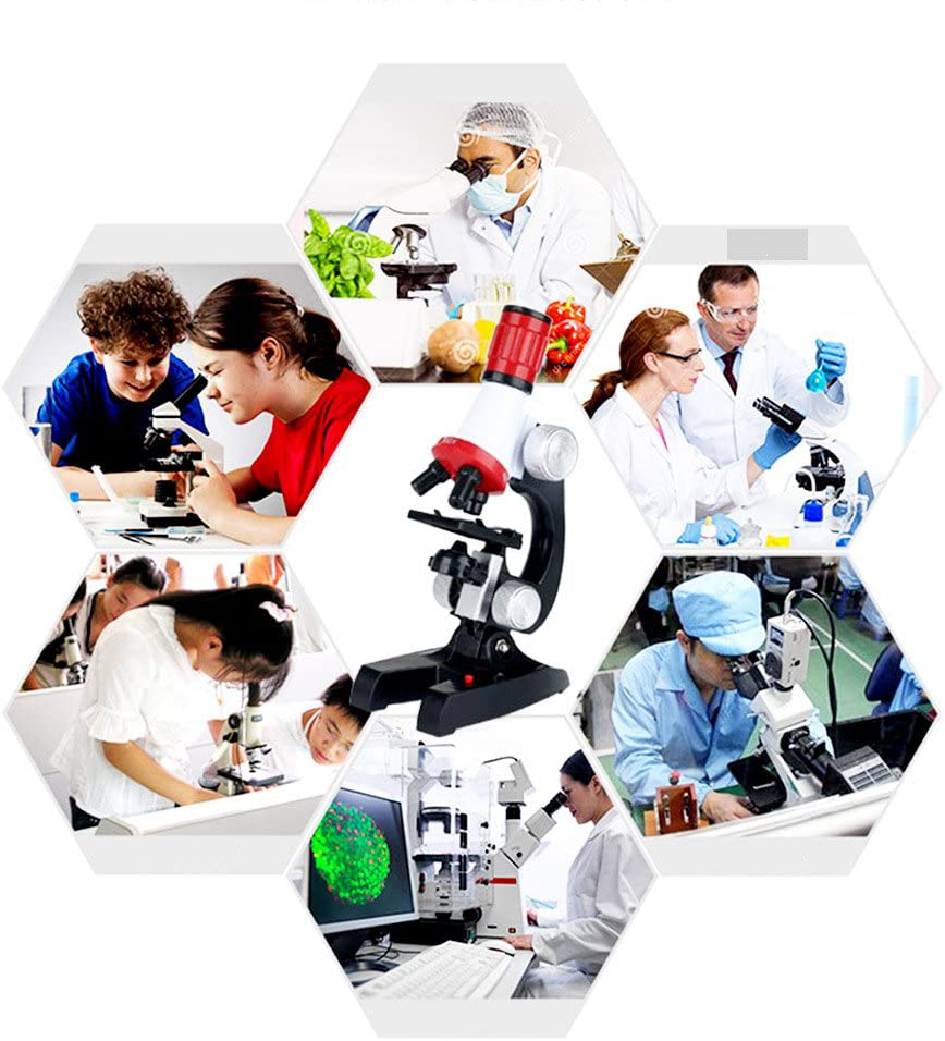 Kids Microscope Science Kit with Slides