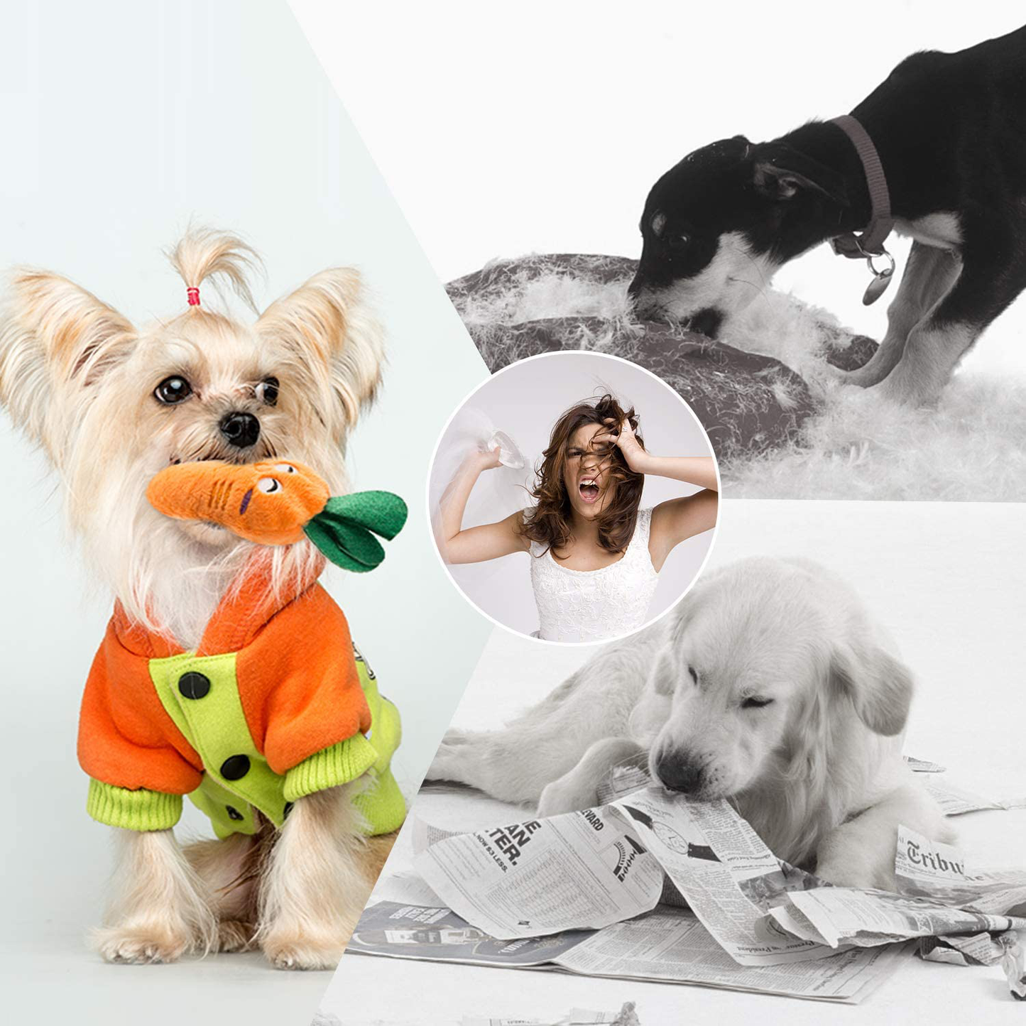 Nocciola Dog Squeaky Toys Cute Plush Toys|Pet Toys for Small Medium & Large Dogs