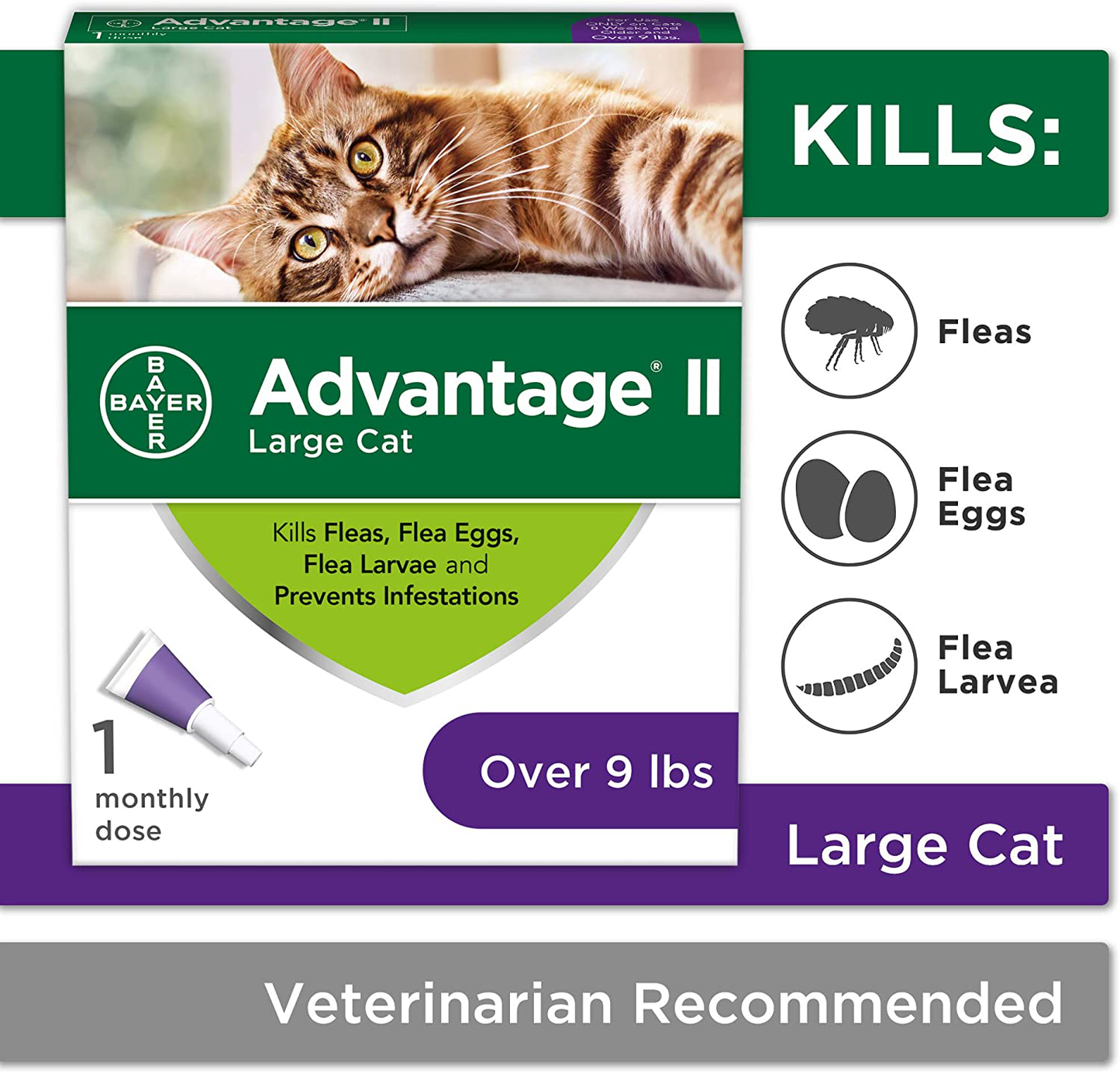 Advantage II Flea Prevention and Treatment for Cats