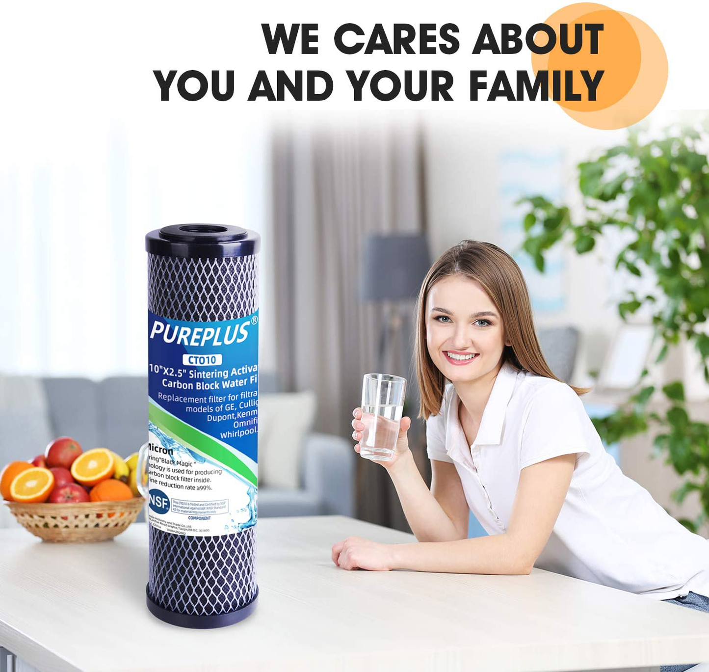 1 Micron 2.5" x 10" Whole House CTO Carbon Water Filter Cartridge Replacement for Countertop Water Filter System, Dupont WFPFC8002, WFPFC9001, FXWTC, SCWH-5, WHEF-WHWC, WHCF-WHWC, AMZN-SCWH-5, 4Pack