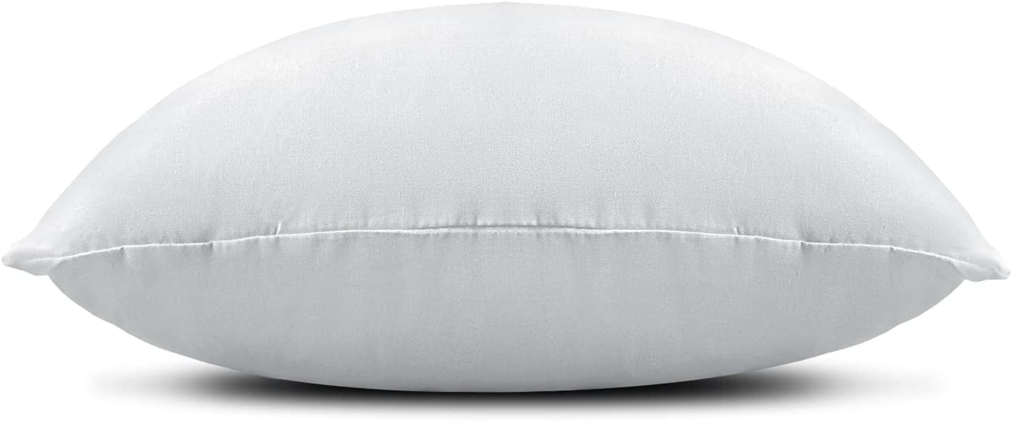 EDOW Throw Pillow Inserts, Set of 2 Lightweight Down Alternative Polyester Pillow, Couch Cushion, Sham Stuffer, Machine Washable