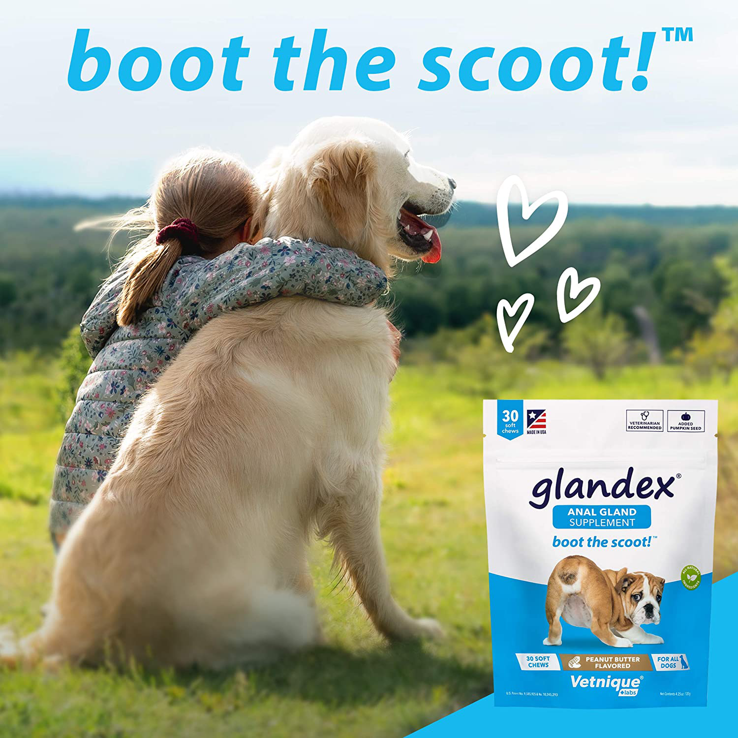 Glandex Anal Gland Soft Chew Treats with Pumpkin for Dogs 30ct Chews with Digestive Enzymes, Probiotics Fiber Supplement for Dogs