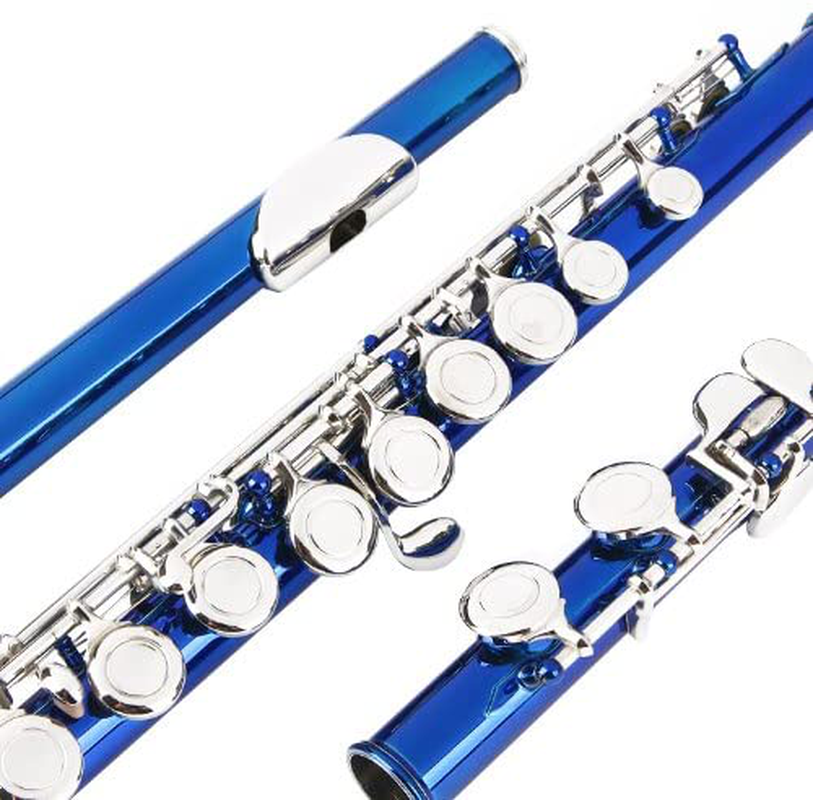 Glory Closed Hole C Flute With Case, Tuning Rod and Cloth,Joint Grease and Gloves Blue-More Colors available,Click to see more colors