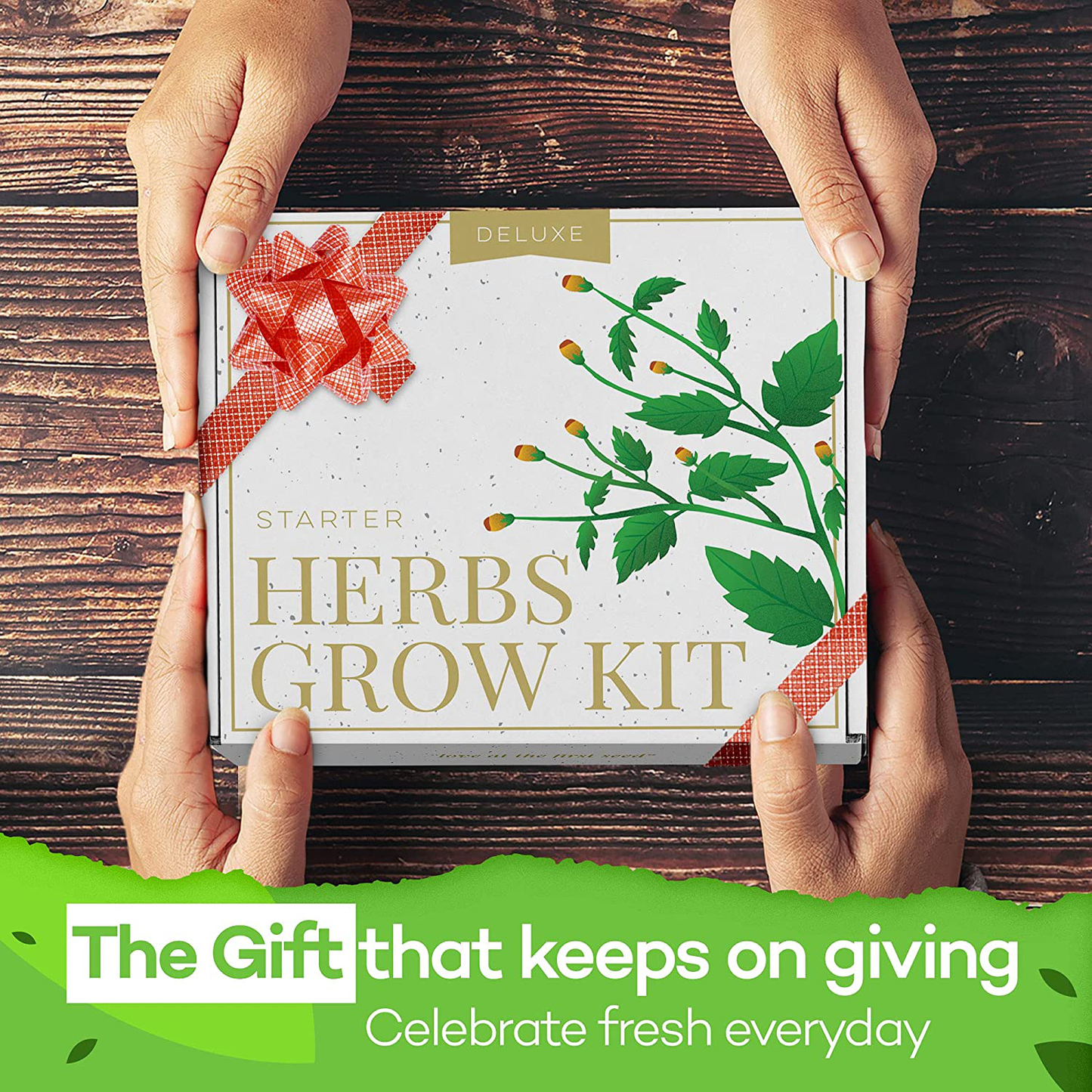 Deluxe Herb Garden Grow Kit – 8 Variety Indoor and Outdoor Herb Seed Starter Kit – Get Growing W/Pots, Potting Soil, and Detailed Gardening Guide by Home Grown - DIY Gardening Gifts for Women & Men