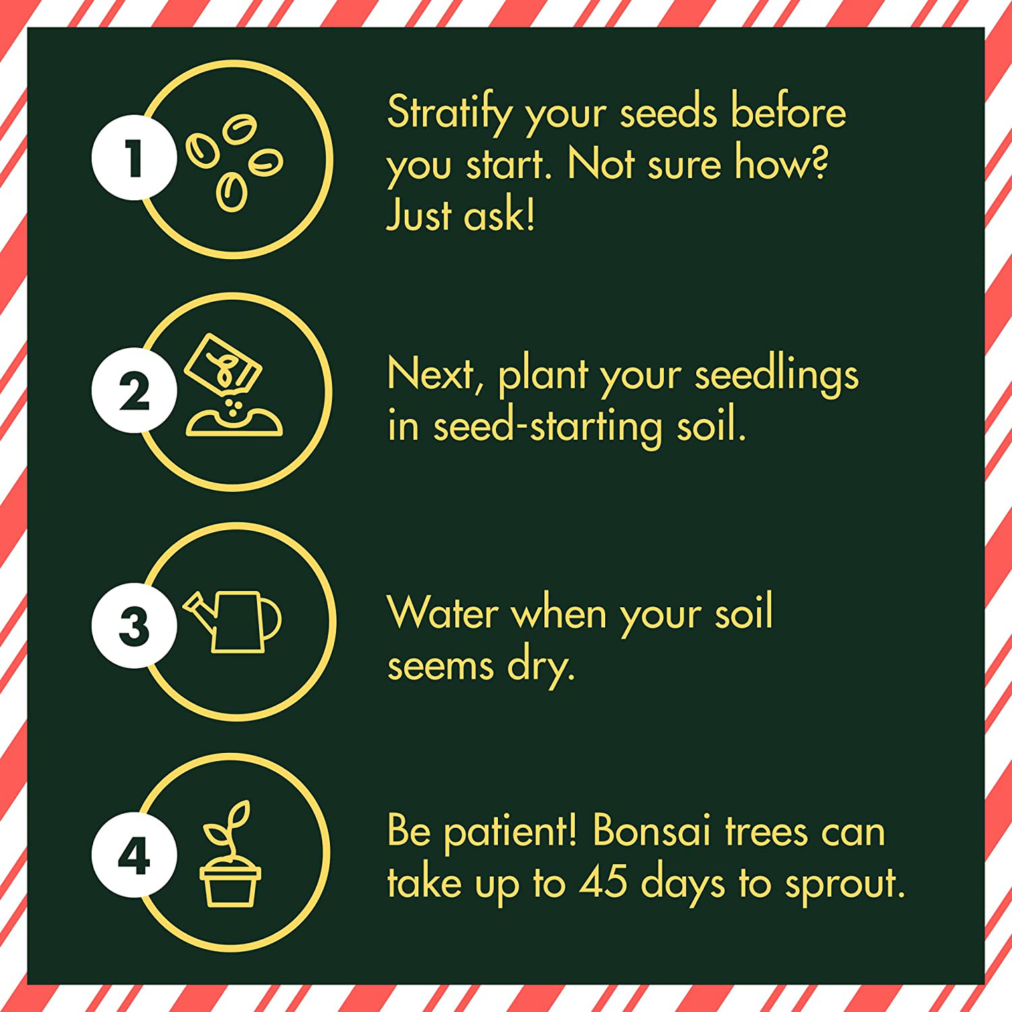 Bonsai Tree Seed Starter Kit - Mini Bonsai Plant Growing Kit, 4 Types of Seeds, Potting Soil, Pots, Pruning Shears Scissor Tool, Plant Markers, Wood Gift Box, Indoor Garden Gardening Gifts Ideas
