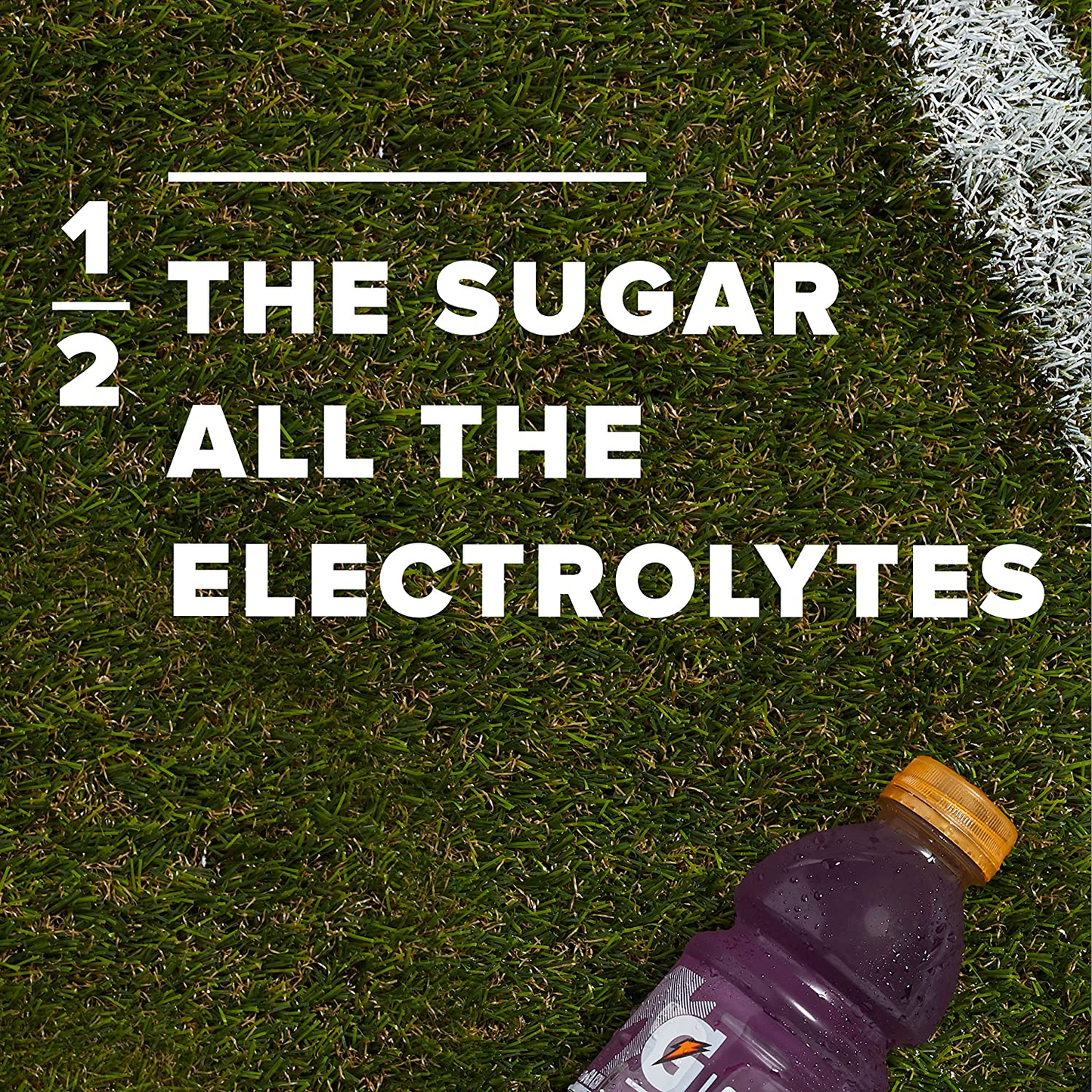 Gatorade G2 Thirst Quencher Variety Pack, 20 Ounce Bottles (Pack of 12)