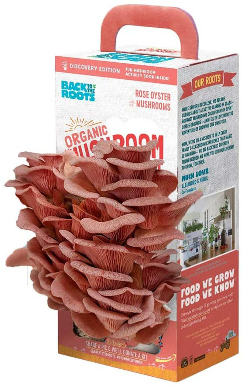 Back to the Roots Organic Mini Mushroom Grow Kit, Harvest Gourmet Oyster Mushrooms in 10 Days, Top Gardening Gift, Holiday Gift, & Unique Gift