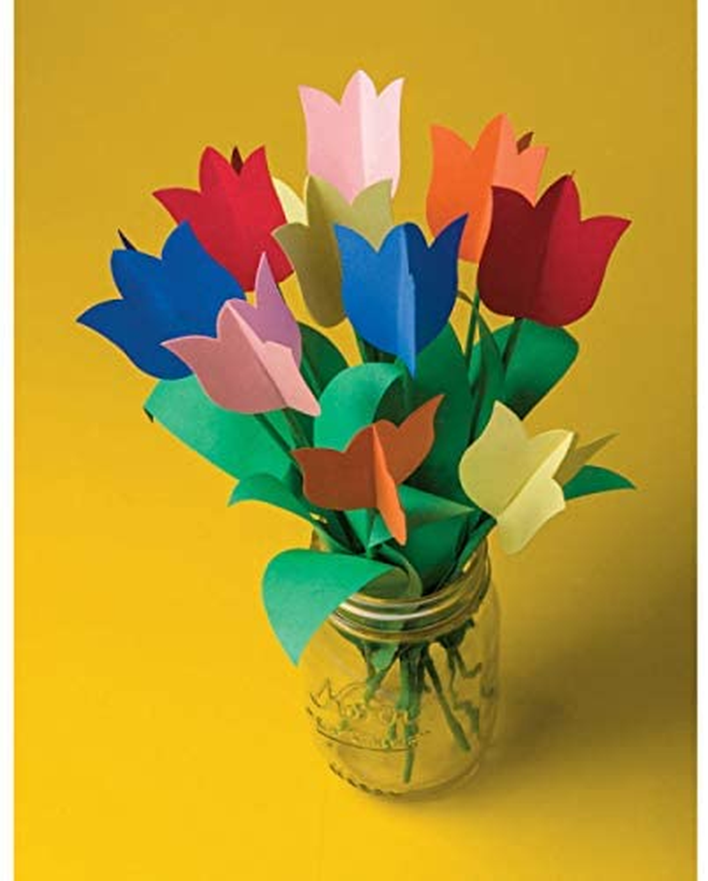 Tru-Ray Construction Paper P103031, 10 Classic Colors, 9" X 12", 50 Sheets