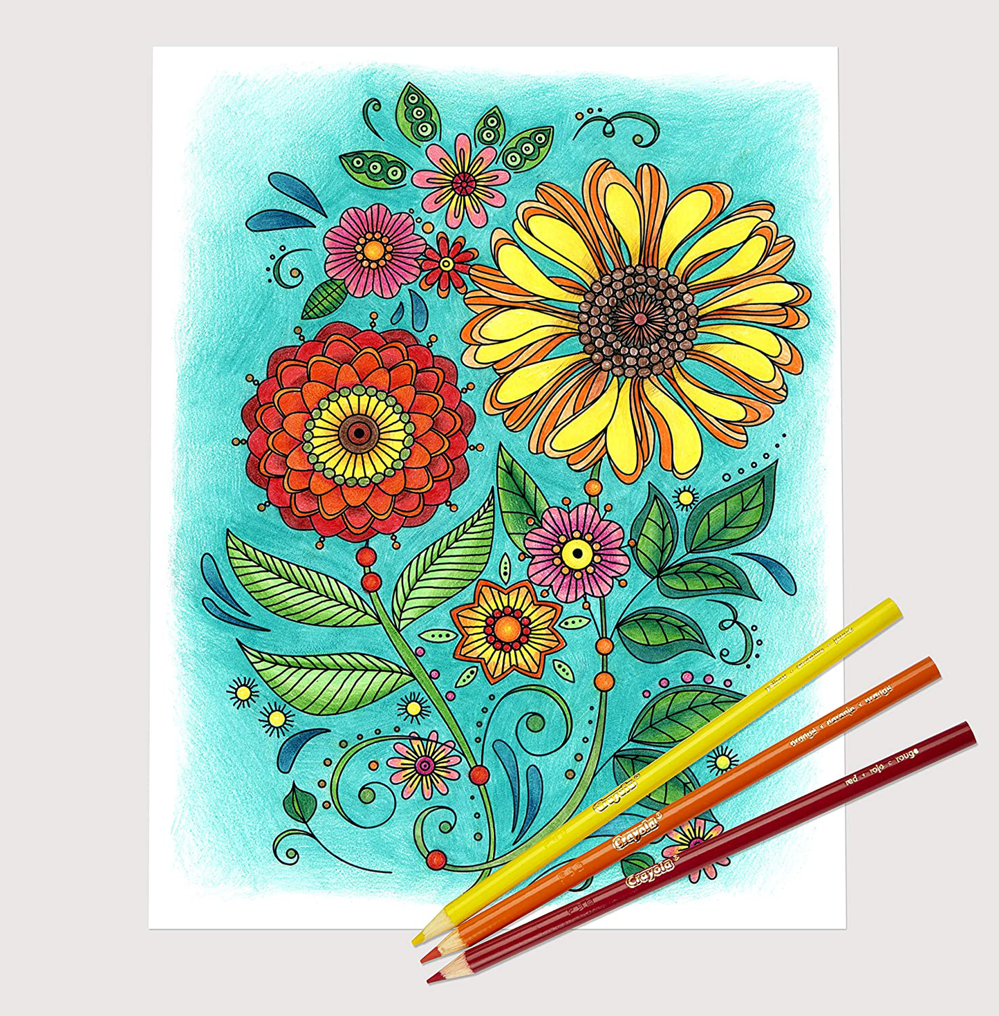 Crayola 100 Colored Pencils, Adult Coloring, Great for Coloring Books, Gift