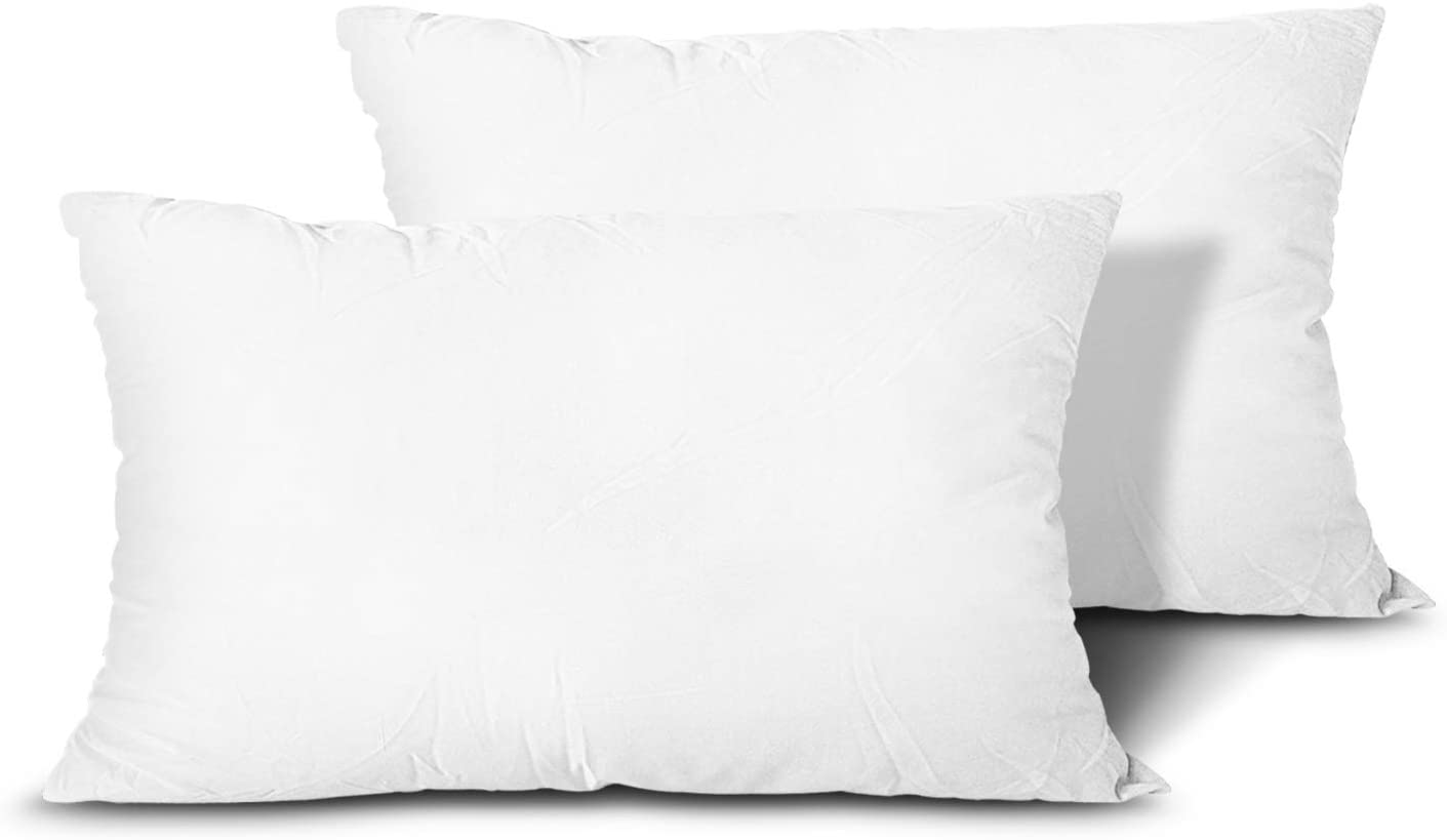 EDOW Throw Pillow Inserts, Set of 2 Lightweight Down Alternative Polyester Pillow, Couch Cushion, Sham Stuffer, Machine Washable