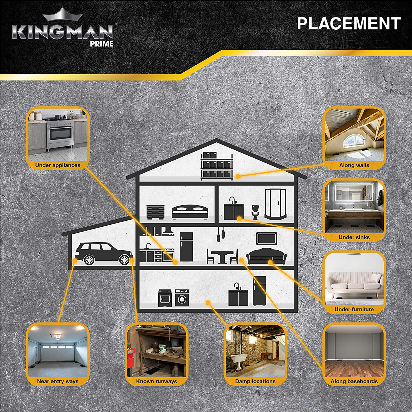 KINGMAN PRIME Rat Mouse Rodent Pest Glue Trap (Large Size) Tray Heavy Duty (10 Traps)