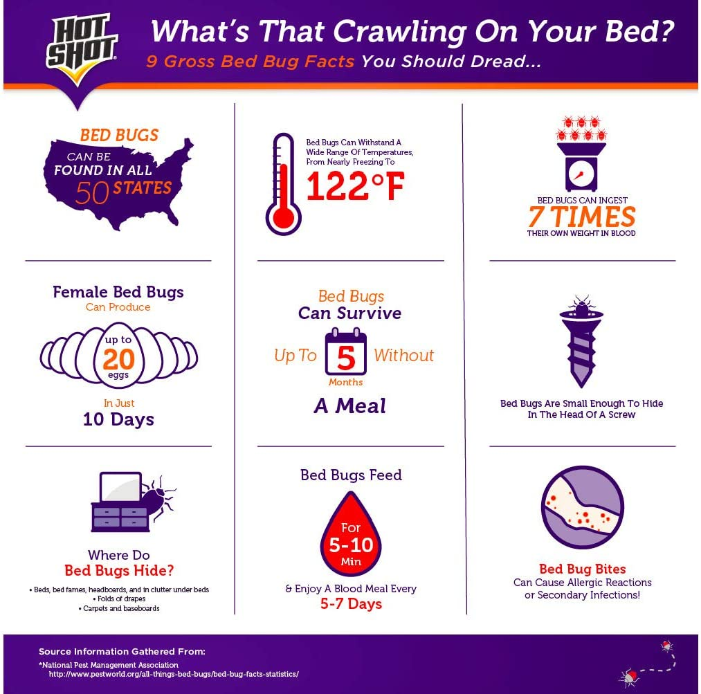 Hot Shot 96446 HG-96446 8 Oz Bed Bug Killer Powder