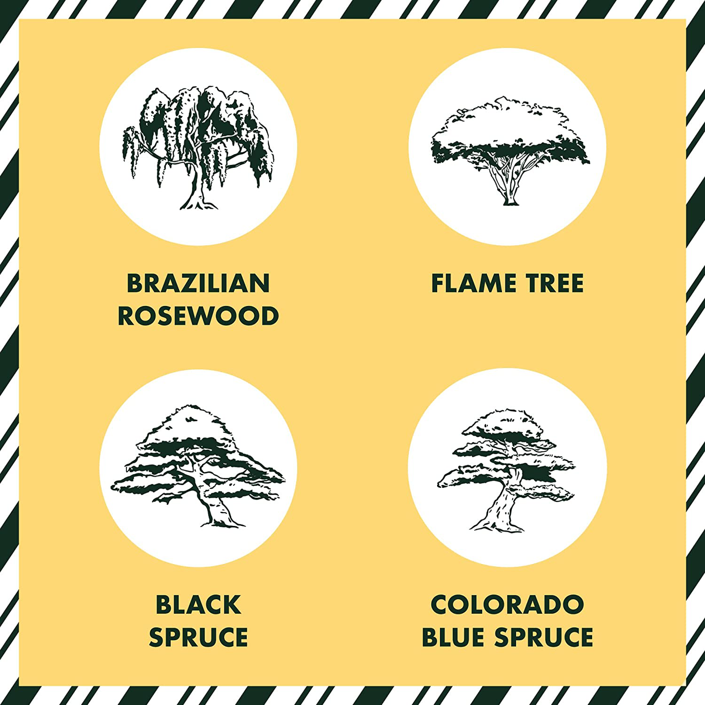 Bonsai Tree Seed Starter Kit - Mini Bonsai Plant Growing Kit, 4 Types of Seeds, Potting Soil, Pots, Pruning Shears Scissor Tool, Plant Markers, Wood Gift Box, Indoor Garden Gardening Gifts Ideas