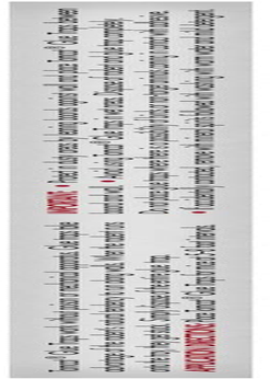 Tomcat 032310 Household Pests, Professional Strength Glue Size with Eugenol for Enhanced Stickiness, Captures Rat An, 4 PK