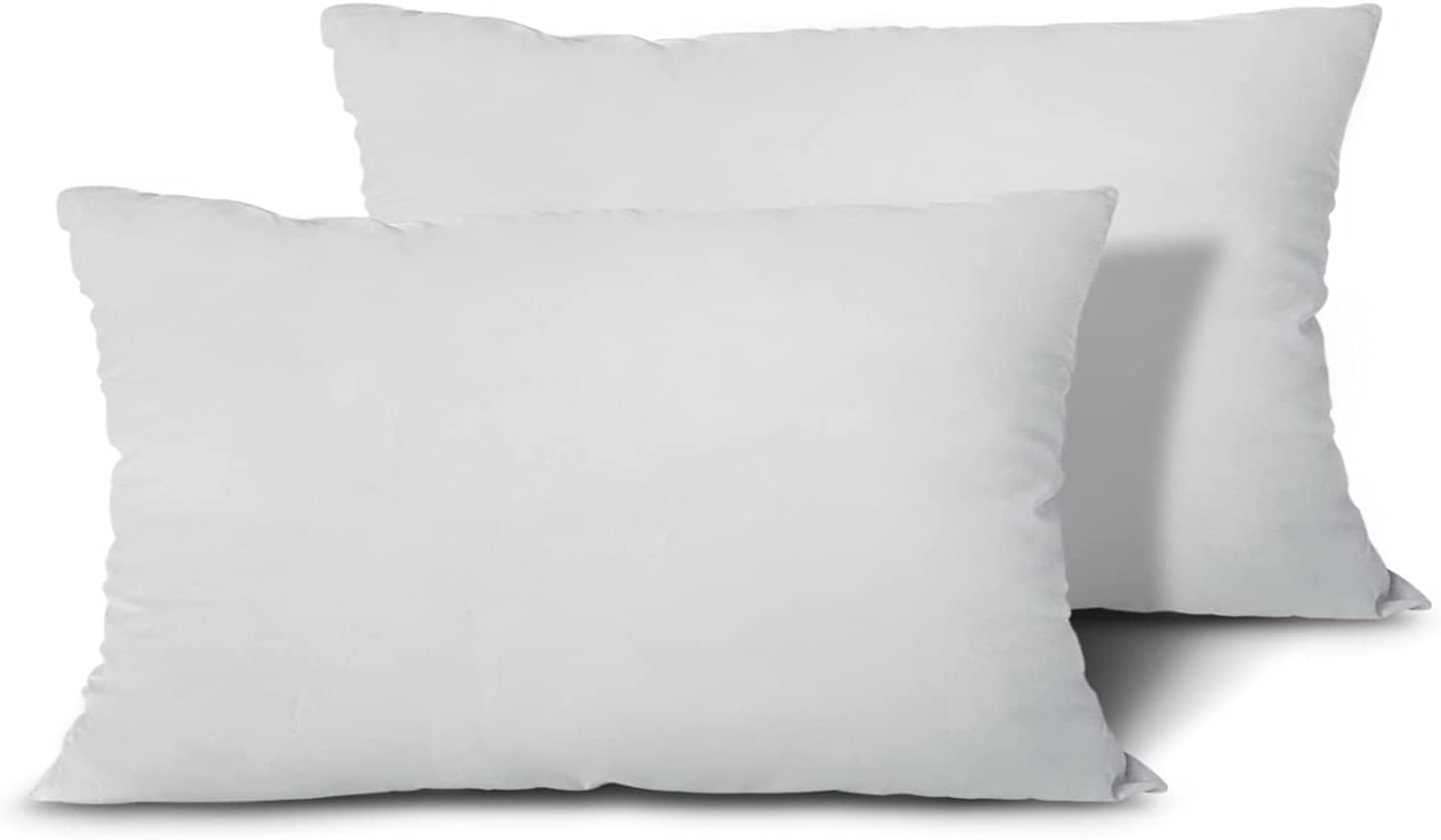 EDOW Throw Pillow Inserts, Set of 2 Lightweight Down Alternative Polyester Pillow, Couch Cushion, Sham Stuffer, Machine Washable