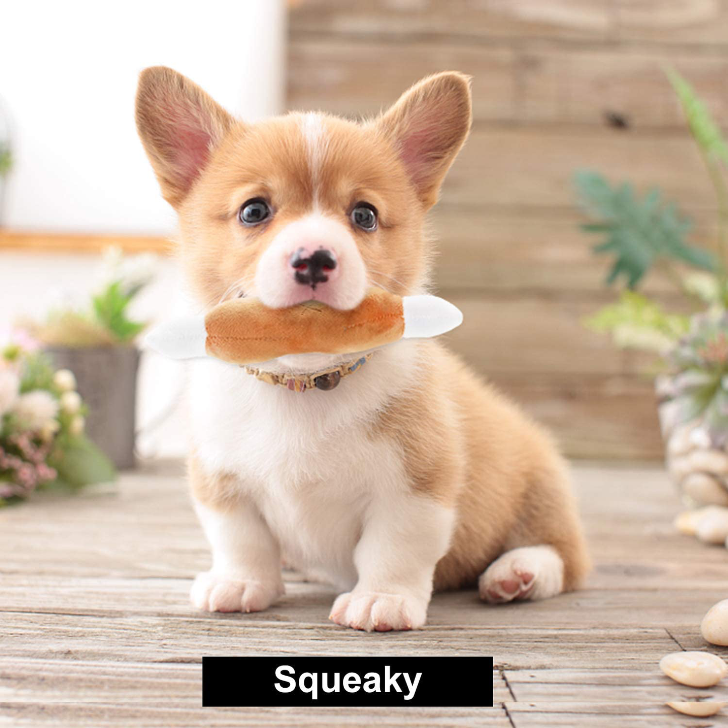 Nocciola Dog Squeaky Toys Cute Plush Toys|Pet Toys for Small Medium & Large Dogs