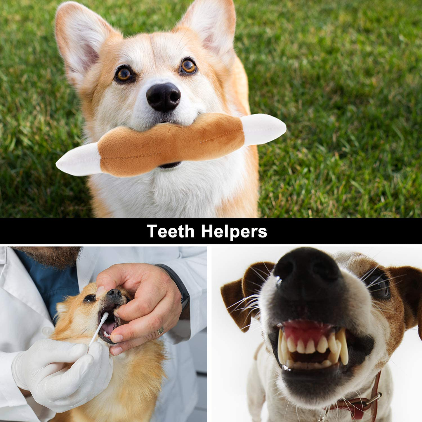 Nocciola Dog Squeaky Toys Cute Plush Toys|Pet Toys for Small Medium & Large Dogs