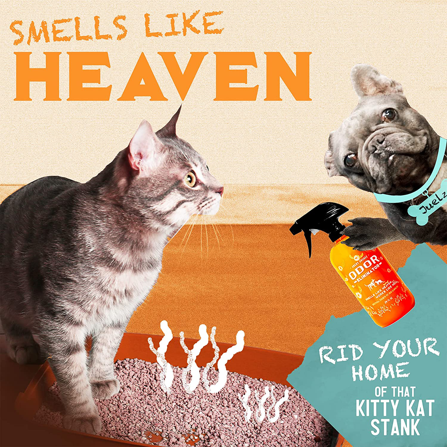 ANGRY ORANGE Pet Odor Eliminator for Home - Citrus Deodorizer for Urine Stains & Strong Smells on Carpet, Furniture, or Floors