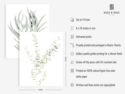 Haus and Hues Botanical Plant Wall Art Prints - Set of 4 Plant Wall Decor Prints Floral Kitchen Flower Leaves Wall Art Boho Leaf Eucalyptus (UNFRAMED) (8x10)