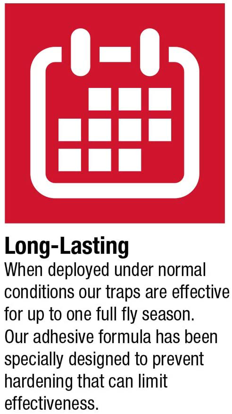 Catchmaster Sticky Fly Trap Ribbon - Indoor/Outdoor Fly Catcher Insect Killer- Pack of 20 Rolls