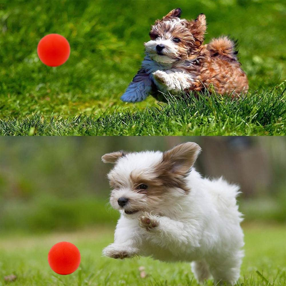 4 Pack Puppy Balls, Puppy Teething Ball, Dog Chew Toy Durable, Squeaky Ball for Small Dog, Rubber Ball, Puppy Teething Toy, Puppy Supplies
