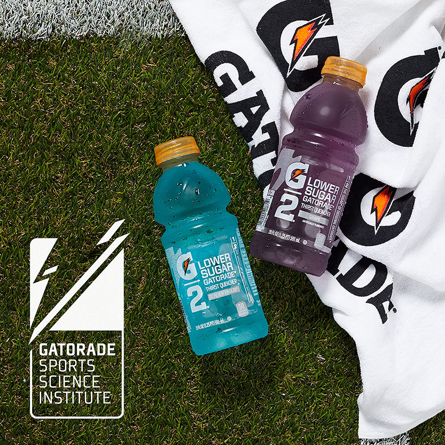 Gatorade G2 Thirst Quencher Variety Pack, 20 Ounce Bottles (Pack of 12)