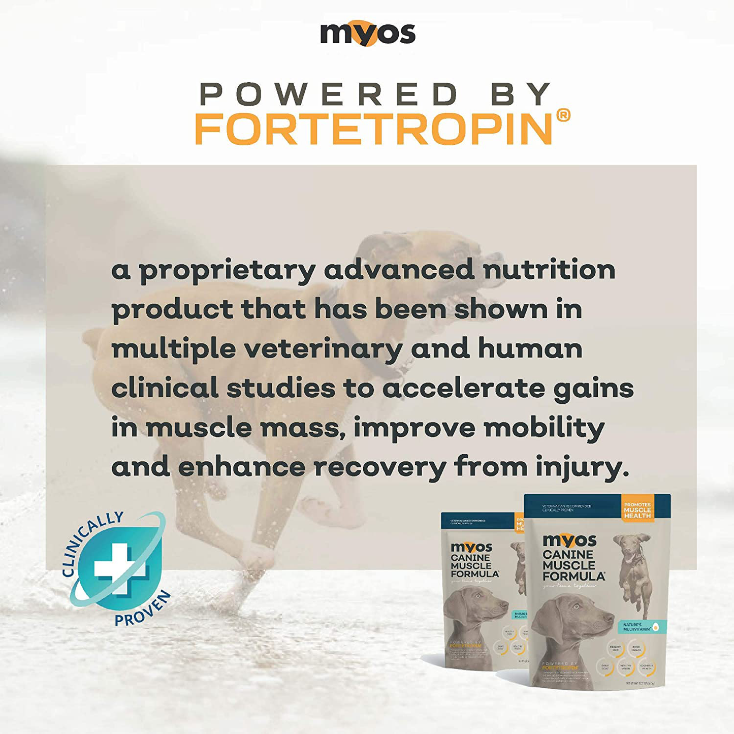 MYOS Canine Muscle Formula - Clinically Proven All-Natural Muscle Building Supplement - Reduce Muscle Loss in Aging Dogs