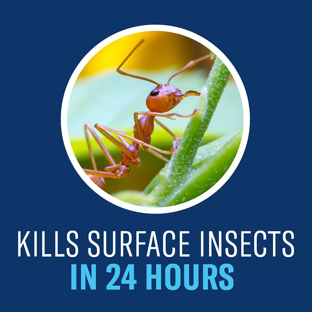 BioAdvanced 700270B Science-Based Solutions Grub, Ant & Mosquito Killer for Lawns, Pest Control, 40 oz, Concentrate