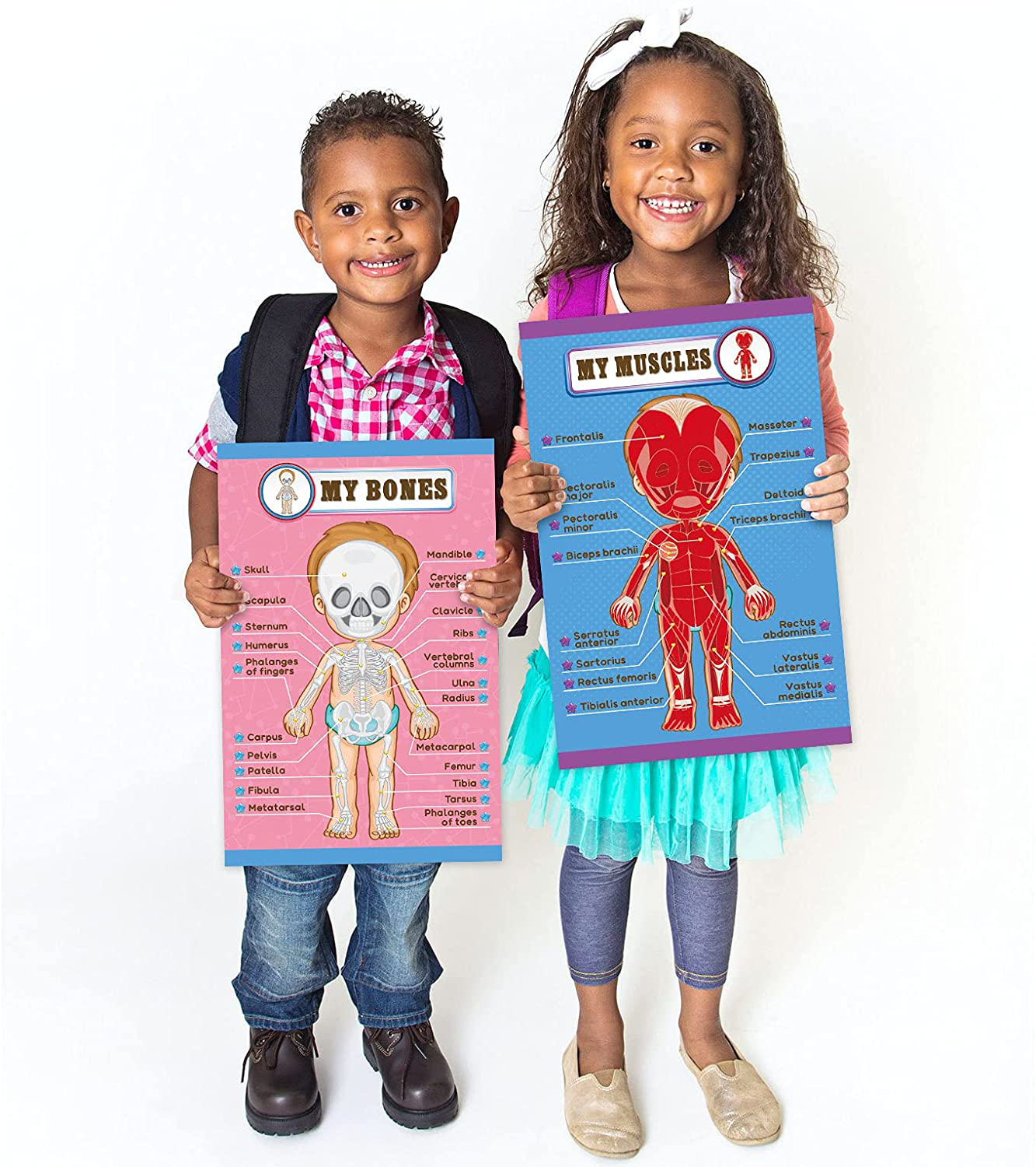 Human Body Educational Learning Posters Body Parts Learning Wall Chart for Kids Cartoon Anatomy Chart Educational Poster Preschool Kindergarten Teaching Supplies, Classroom Decoration, 17 x 11 Inch